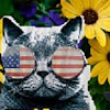 http://yt4.ggpht.com/-iPIGkF9XWcM/AAAAAAAAAAI/AAAAAAAAAAA/C5QkA3CwD-4/s100-c-k-no/photo.jpg
