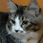 author photo