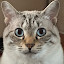 author photo