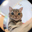 author photo