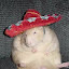 author photo