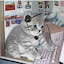 author photo