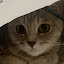 author photo