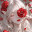 @華蓮-u9y