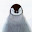 @NaTsuNe-e