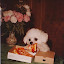 author photo