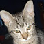 author photo