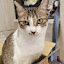 author photo