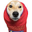 author photo