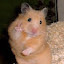 author photo