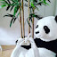 @user-panda11