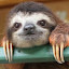author photo