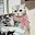 @きりちがっこ