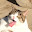 @まぁる-zzZ