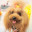 @狗専用わんこ