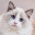 @ねこko