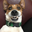 author photo