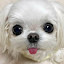 author photo