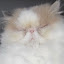 author photo