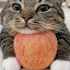 author photo