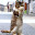 @coincat-r3o