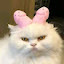author photo