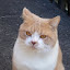 author photo
