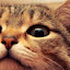 author photo
