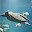 @トルティーヤ-TRT