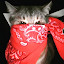 author photo