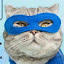 author photo