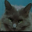 author photo
