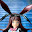 @satisfaction_先導先駆
