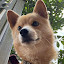 author photo