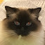 author photo