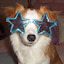 author photo