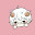 @白綿アモン