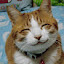 author photo