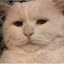 author photo