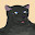 @鐡猫家北斗