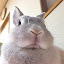 author photo