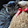 @rio1107CAT