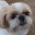 @ふーみーfhumyh