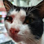 author photo