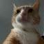 author photo