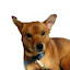 author photo