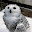 @take_pon-25