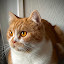 author photo