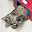 @キジトラねこ_澪