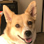 author photo
